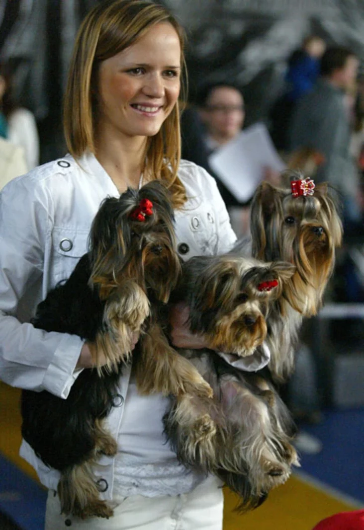 International dog show. Photo by Julia Darashkevich