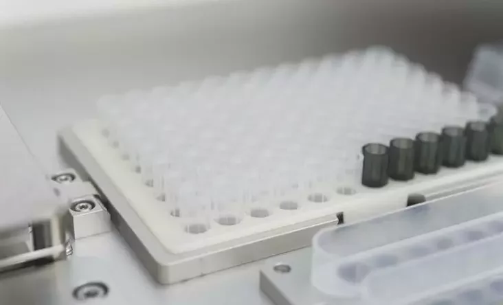 Фота: Benoit Rajau / Institut Curie