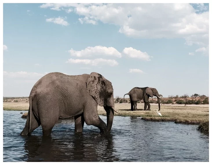 Botswana Botsvana Batsvana