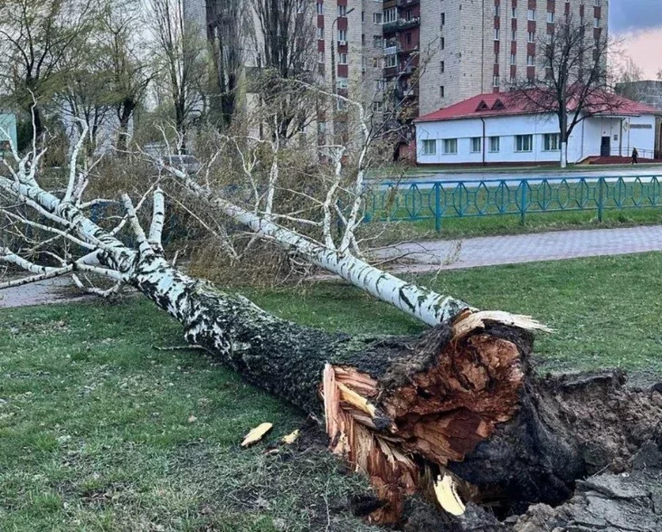 Po juhu Biełarusi pronieśsia urahan