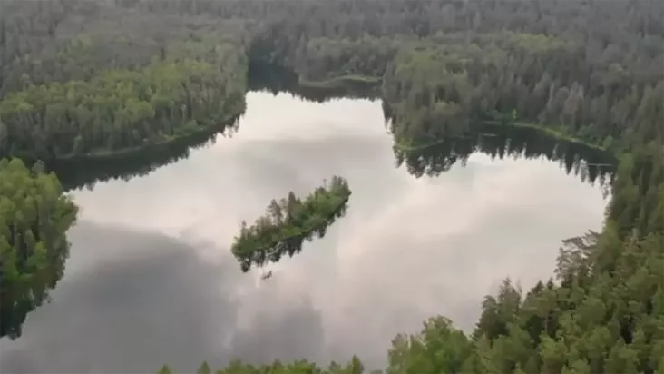 ÐлÑбелÑка Ñ Ð²ÑÑоÑÑ. ФоÑо - Ðлена ÐаÑ
Ñомеева
