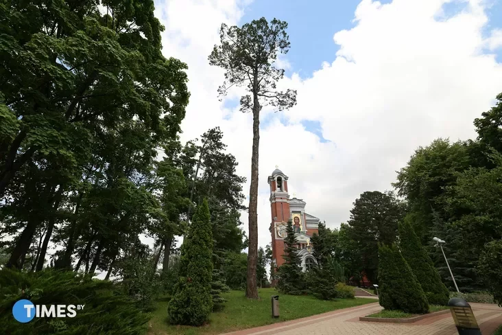 A tree preserved from the time of the original planting