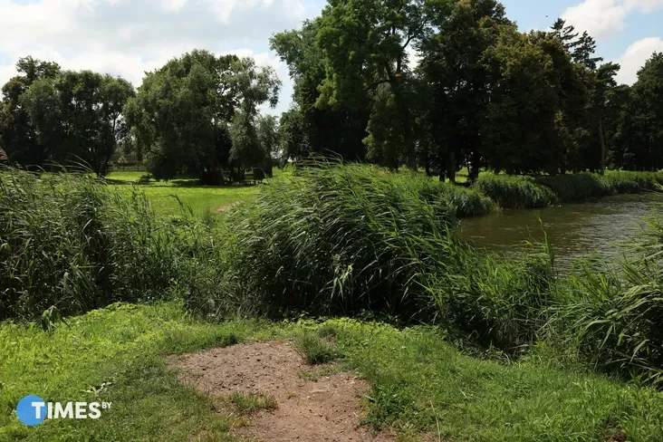The bridge will be restored at this location