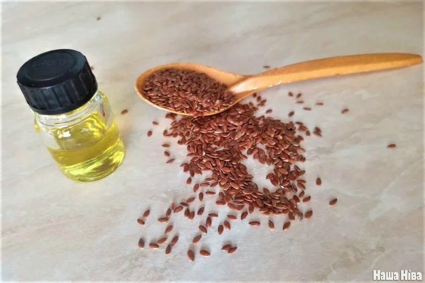 linen oil лен и льняное масло семя льна