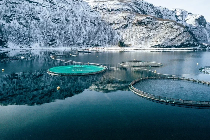 fish farm in Norway rybnaja fierma ŭ Narviehii rybnaja fierma v Norviehii