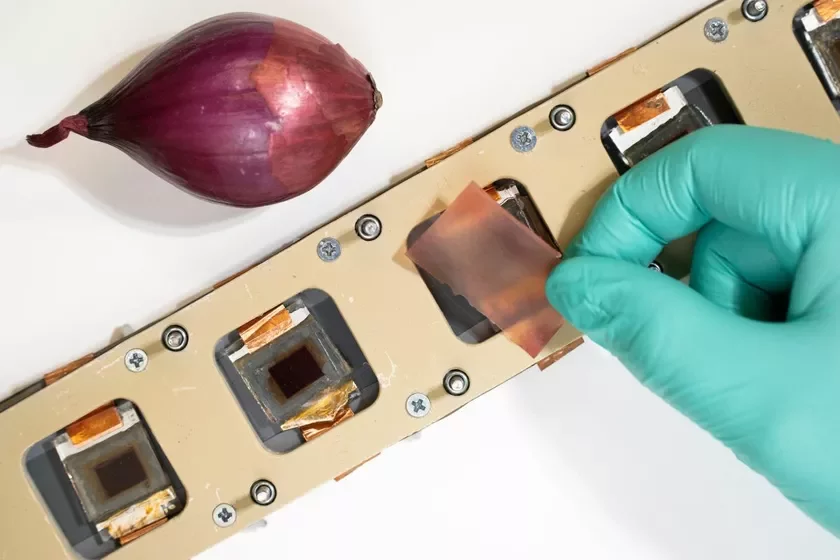 red onion skin extract ekstrakt šiełuchi krasnoho łuka ekstrakt łupiny čyrvonaha łuka