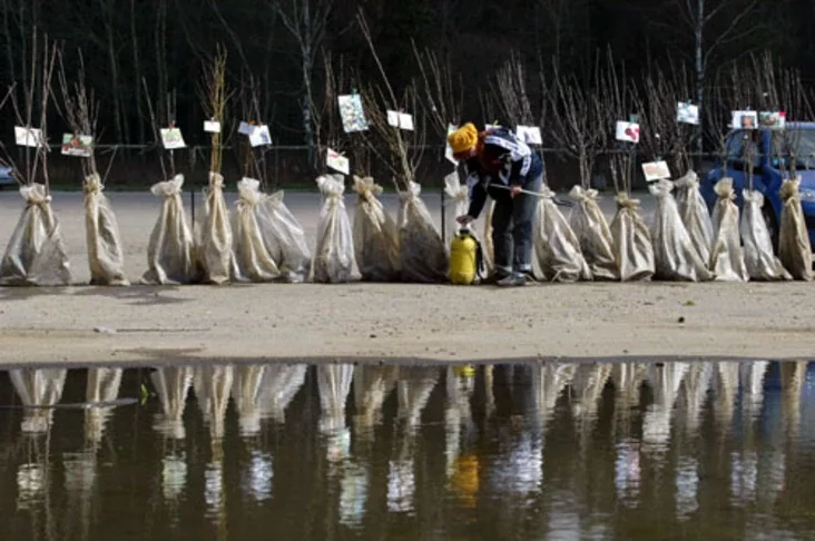 Photo by Julia Darashkevich