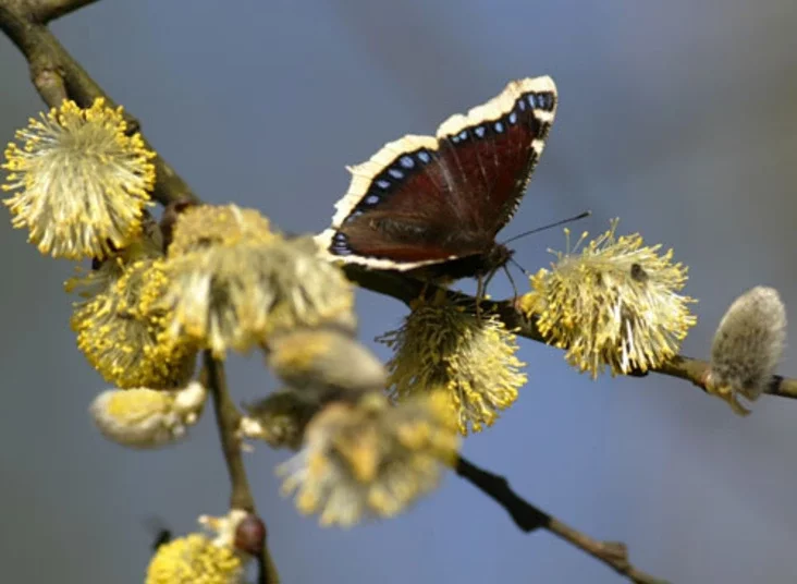Photo by Julia Darashkevich