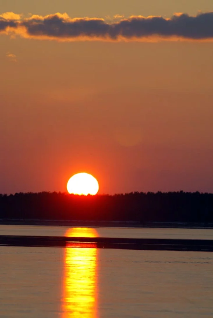 Photo by Julia Darashkevich