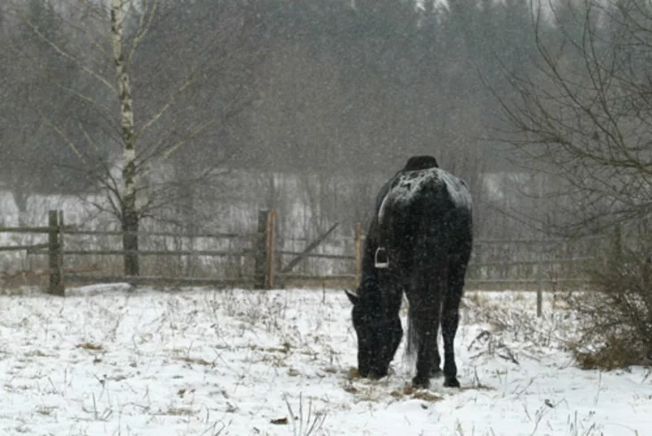 Strochycy. Photo by Julia Darashkevich