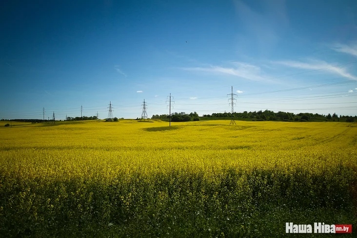 Краявіды Лагойшчыны