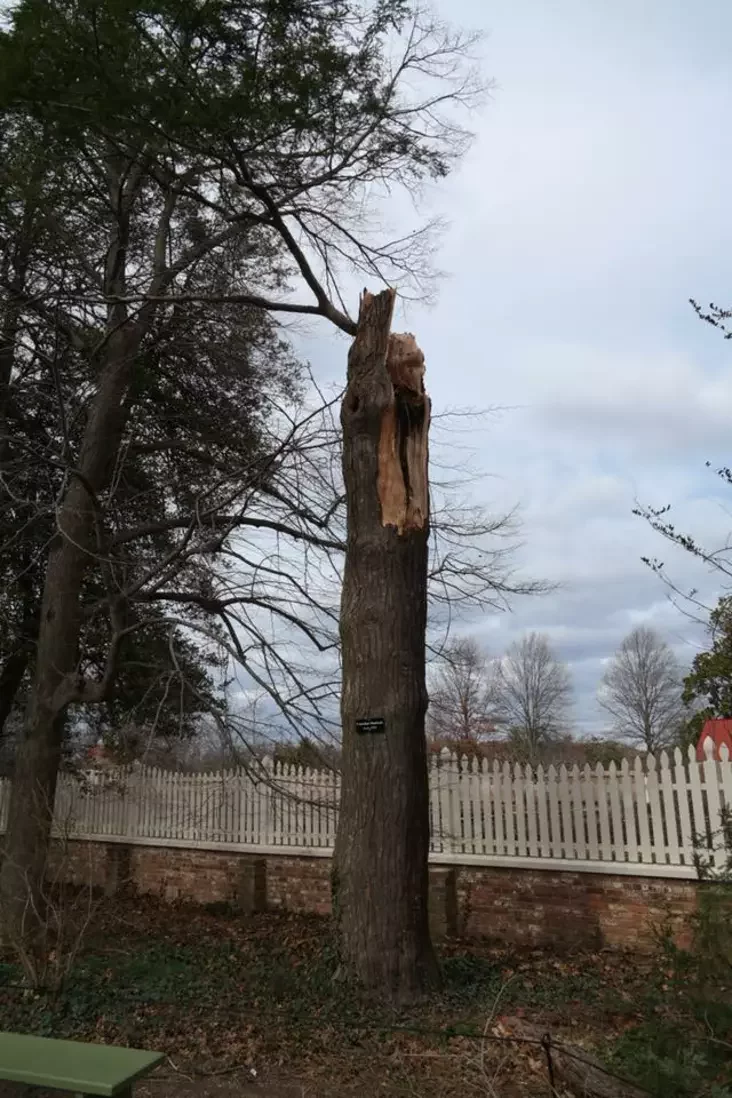 Фото поместья Вашингтона Маунт-Вернон