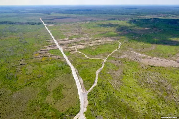 Направа ідзе старая лясная дарога. Новую дарогу пракладаюць па жывым балоце