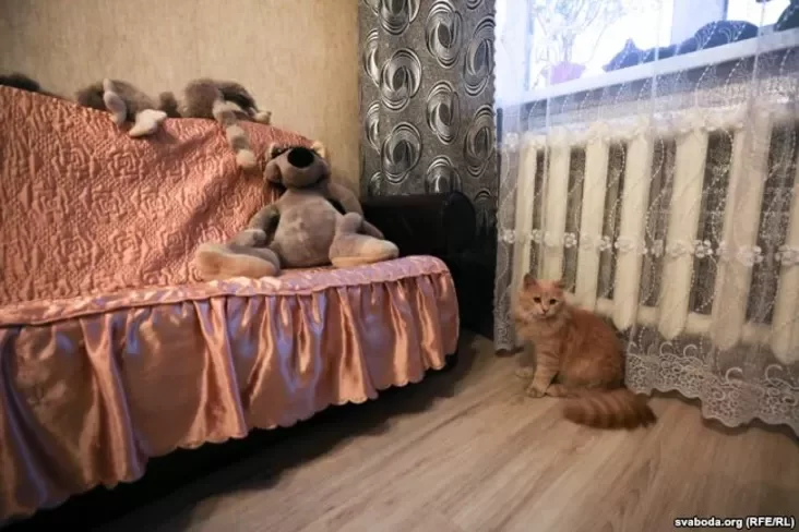 Дома ў сям'і Вадзіма