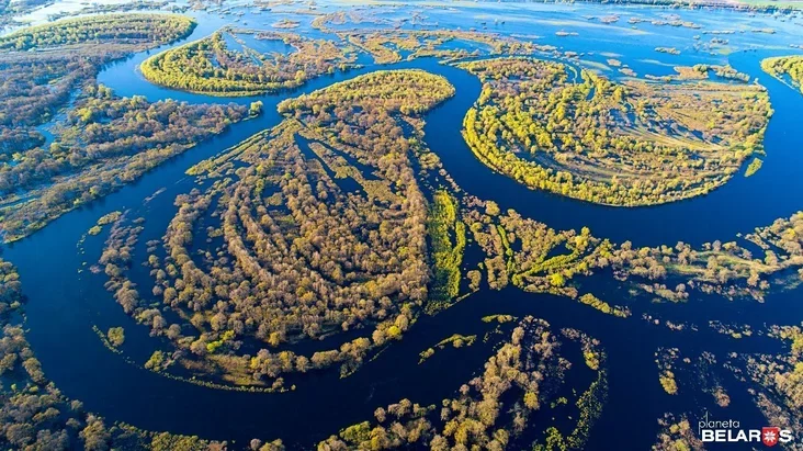 8 Припятский стан излучины реки.jpg