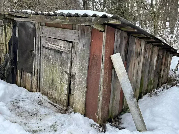 Pachavaĺnia Radzivilaŭ