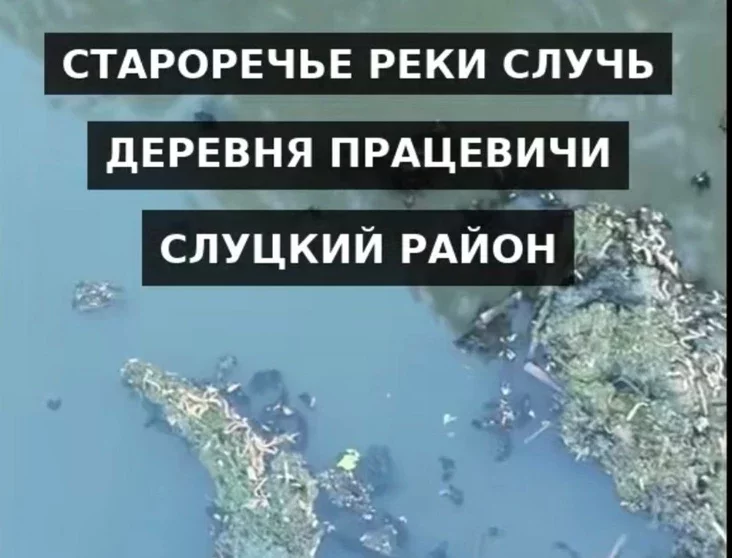 žałoby na kačiestvo vody