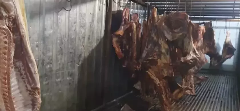 Нелегальны мясакамбінат