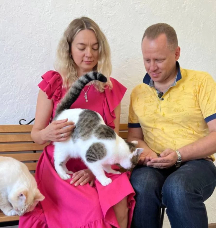 A cat sitting inside the cafe